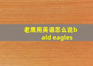 老鹰用英语怎么说bald eagles